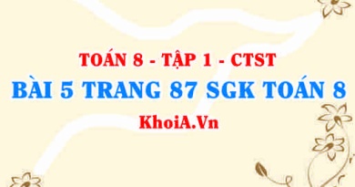 Bài 5 trang 87 SGK Toán 8 Tập 1 Chân trời sáng tạo